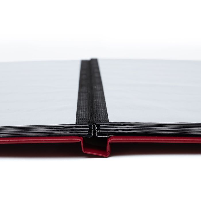 Basic stockbook, DIN A4, 16 black pages, unpadded cover, red